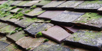 St Osyth roof repair costs